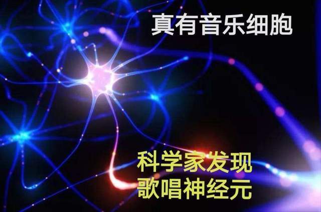 最新音乐课题，旋律中的友情与爱