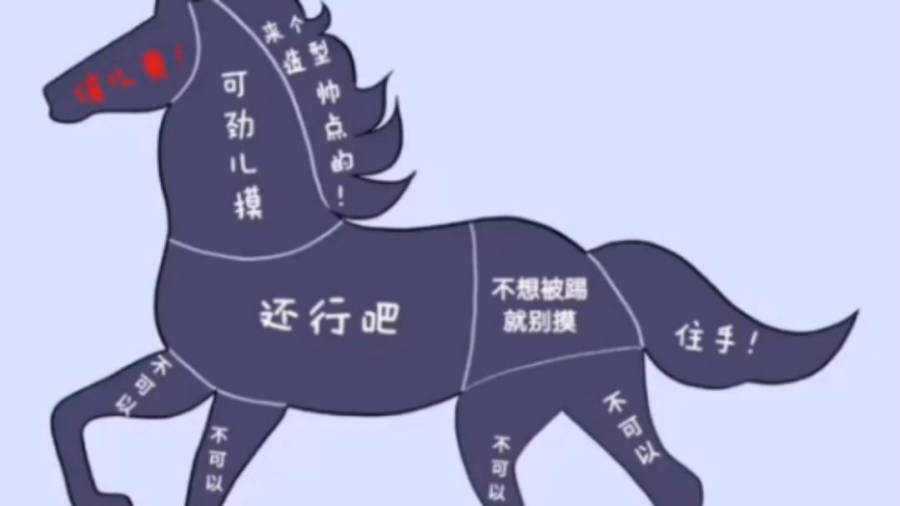 马内伤情最新及处理步骤指南