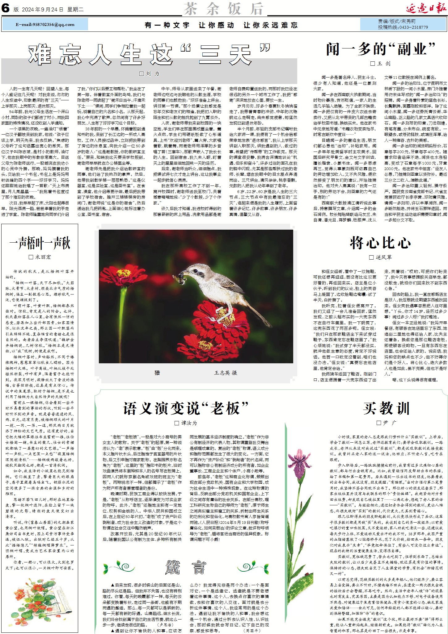 青少年宫 第264页