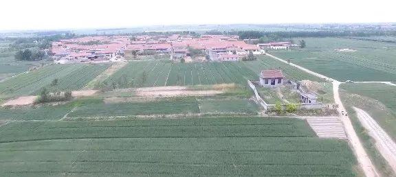 肥城军地村最新动态，全面指南与任务完成教程