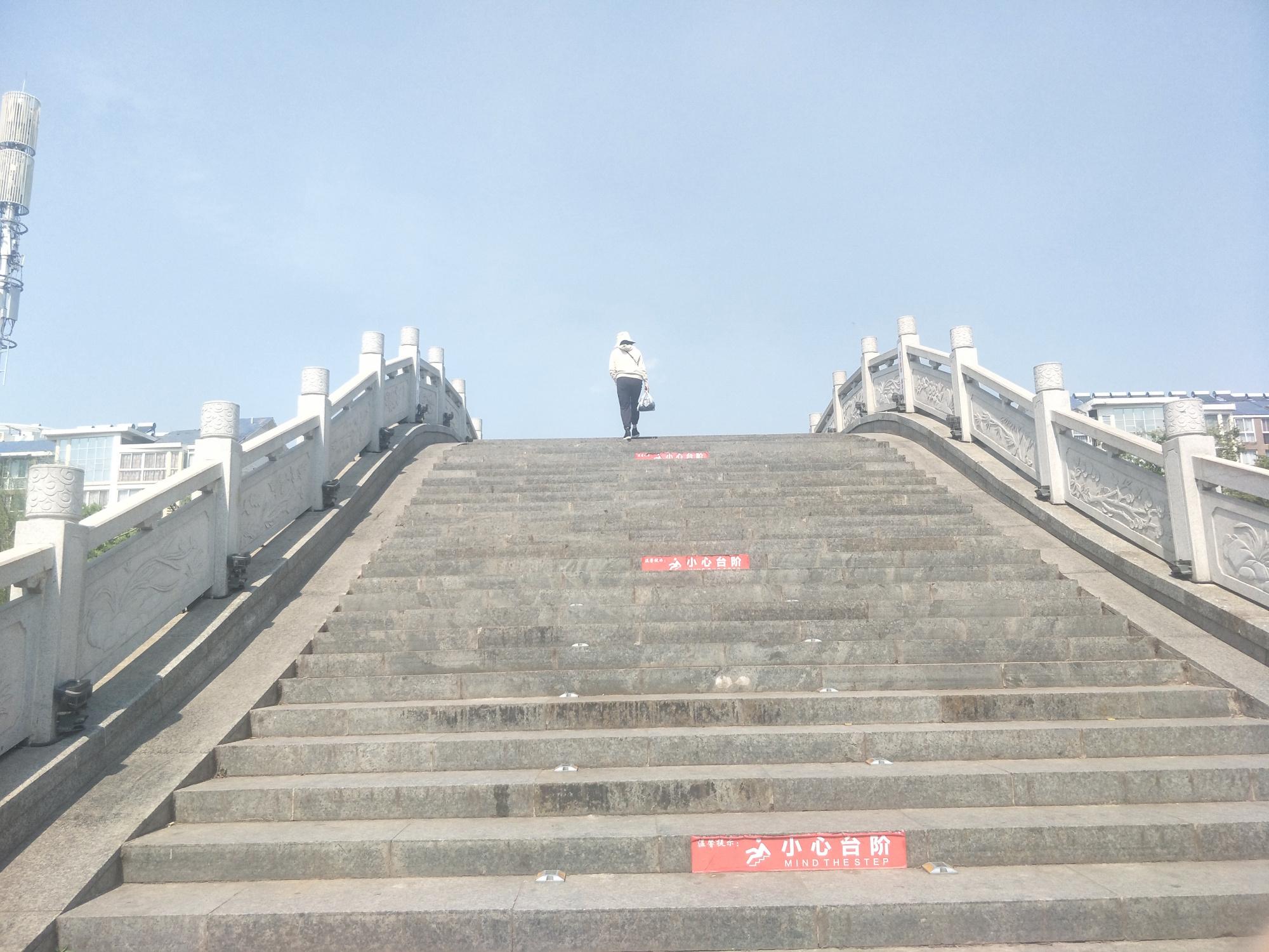 东莞水乡新城，科技重塑生活，引领未来新篇章