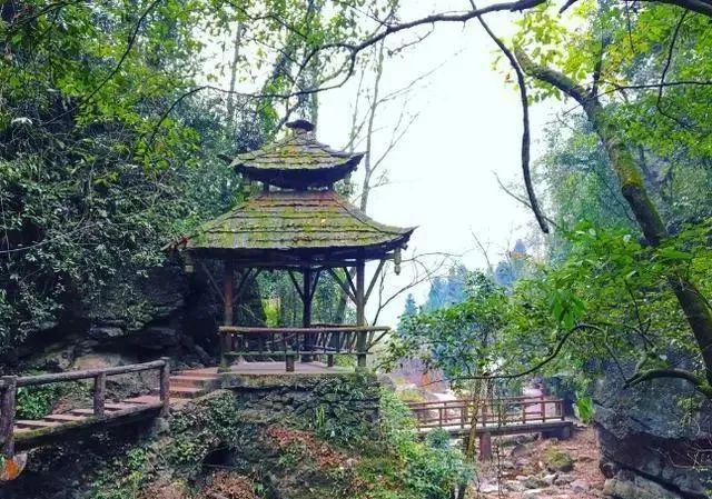 青城山酒店最新招聘启事，探索自然美景，寻求心灵平和与宁静的旅程