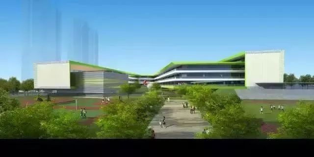 文化馆 第262页