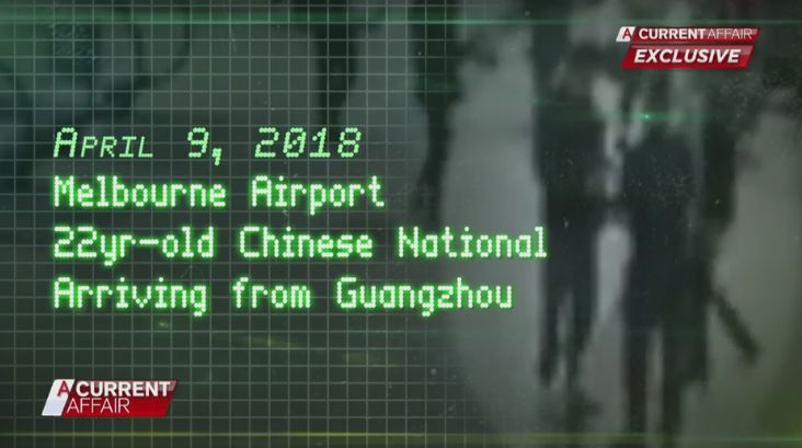 远离色情内容，寻找正规娱乐方式，健康生活的选择