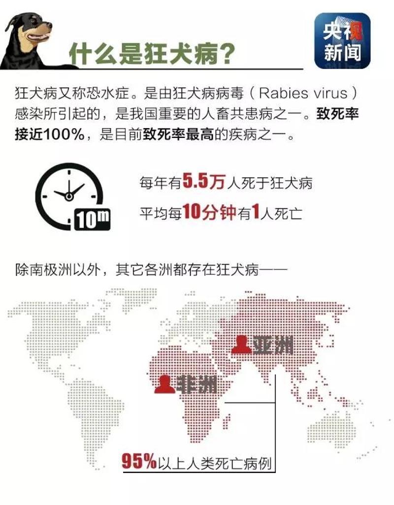 狂犬病最新动态，背景进展及全球影响概览