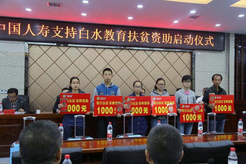 中国人寿2017年新险种揭秘，探索未来保险领域的新篇章