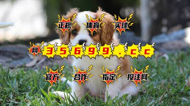 2025澳门特马今晚开奖亿彩网,稳固计划实施_经典版57.957