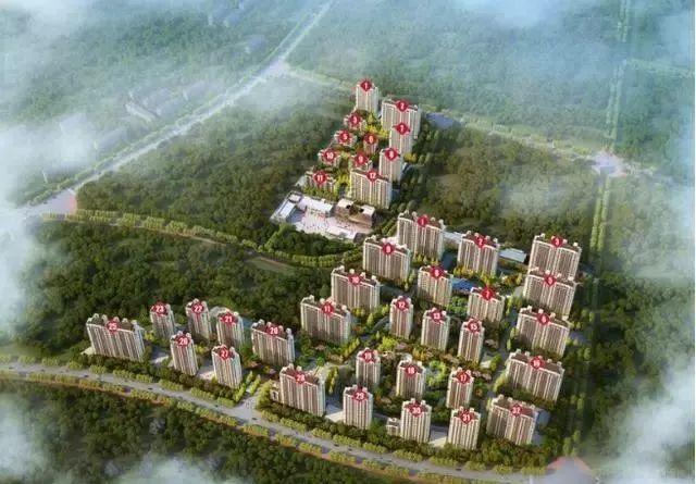 青少年宫 第186页