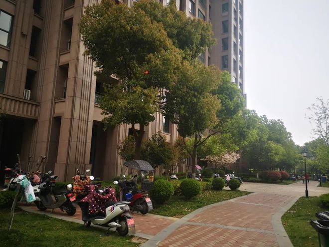 临沂意林公馆最新动态，学习变化，自信塑造未来