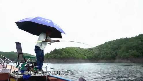 大毛最新垂钓视频分享，探索垂钓的乐趣与技巧