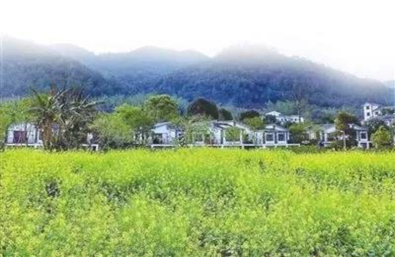 河源万绿春天最新动态与小巷深处的独特风情