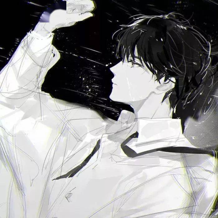 动漫男角色之黑白魅力深度解析