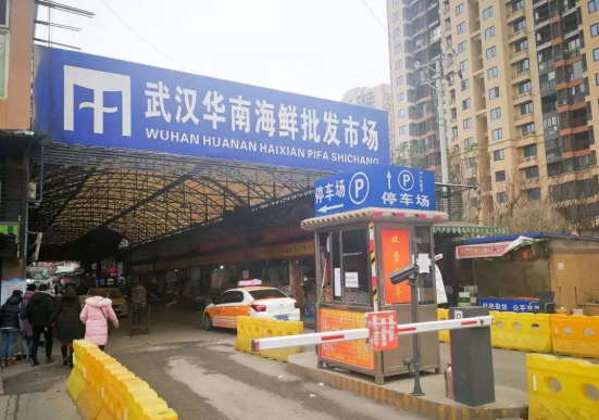 海外疫情迷雾下的巷弄独特小店，最新消息与故事