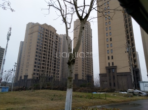 最新消息汇集