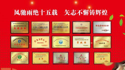 红安最新招聘，科技革新引领未来人才招募启事