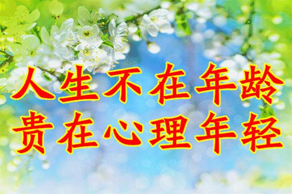 国外最新动态，温馨友情故事同步更新