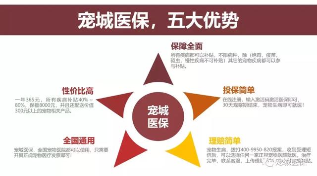 科技重塑医疗保障，最新医保目录引领智能新生活开启